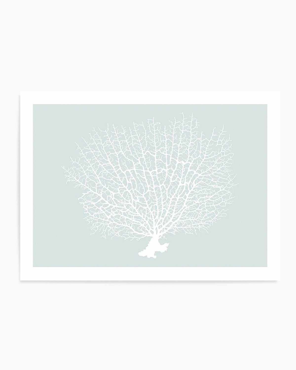 White Coral On Mint Art Print