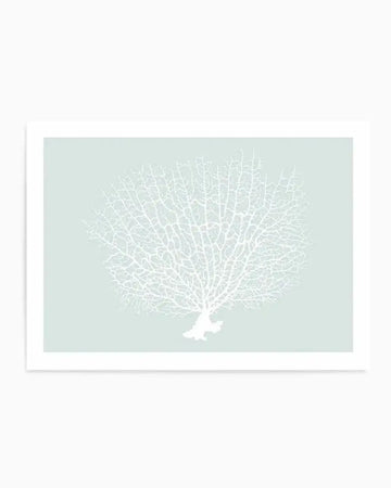 Art print featuring a detailed illustration of a white sea fan coral with intricate, branching patterns, set against a soft, pale mint green background. The coral has a delicate, organic texture.