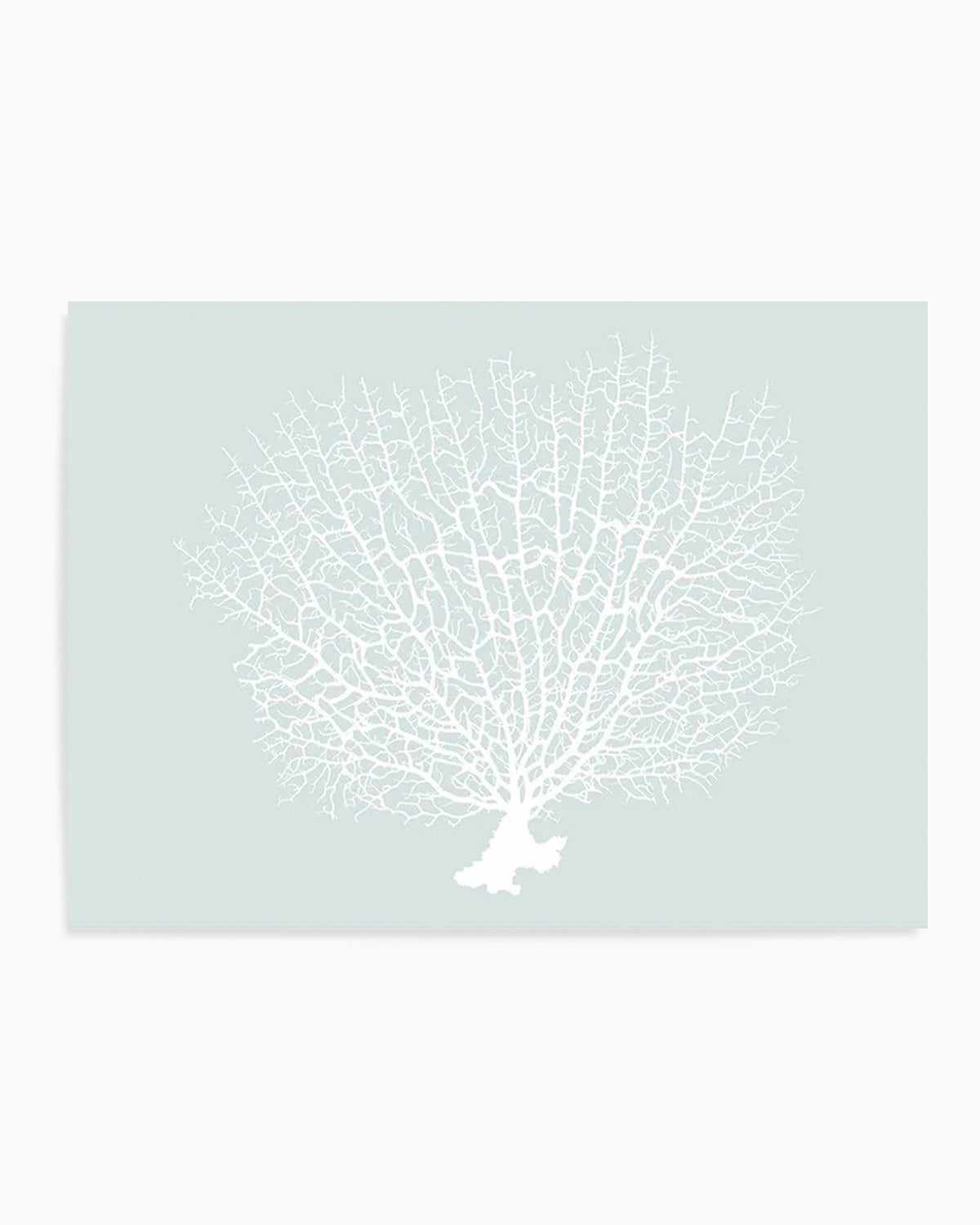 White Coral On Mint Art Print