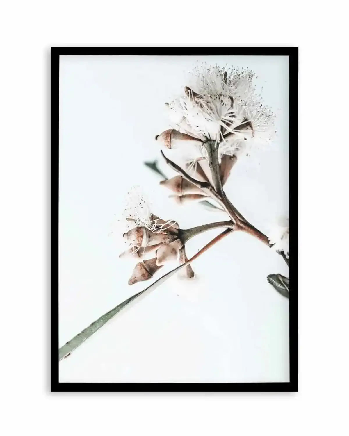 White Eucalyptus I Art Print from Olive et Oriel where you can shop wallpaper and artworks online