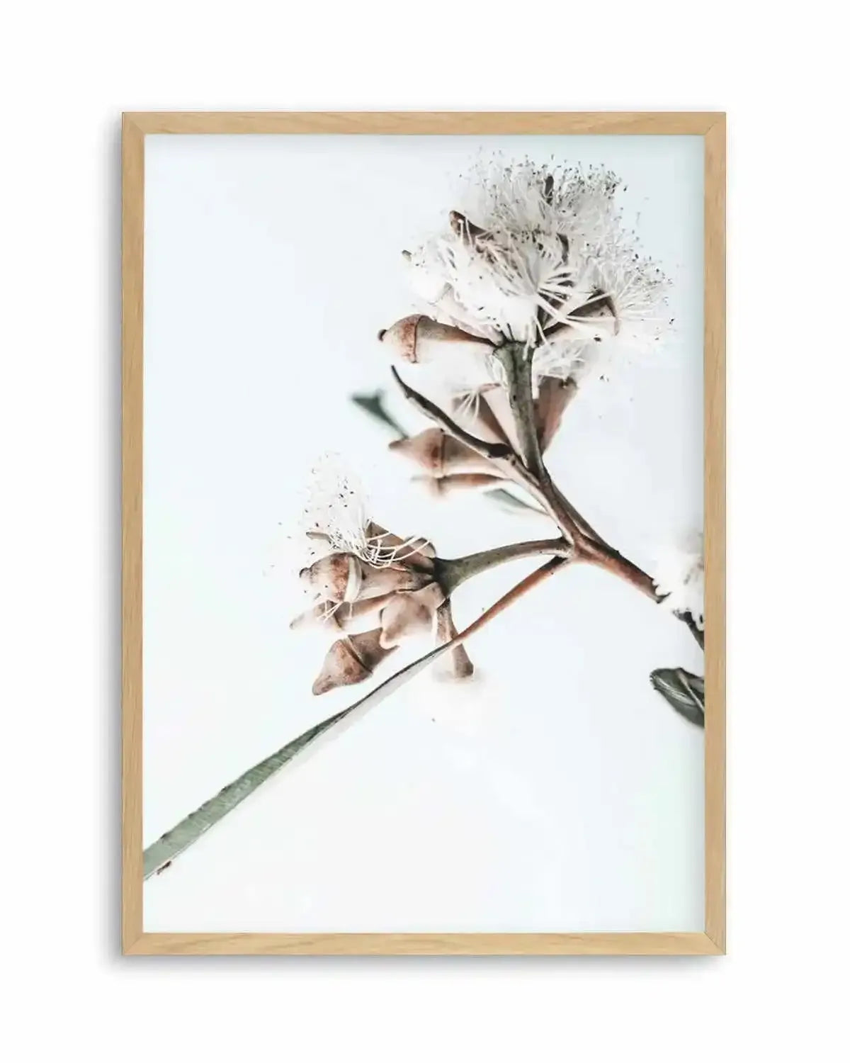 White Eucalyptus I Art Print from Olive et Oriel where you can shop wallpaper and artworks online