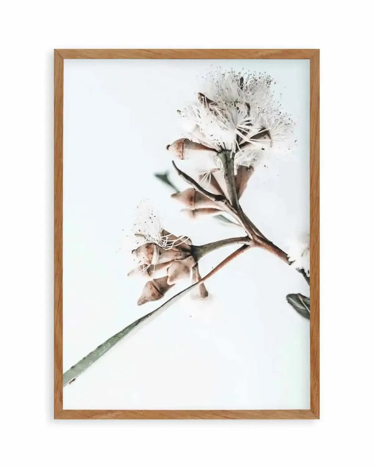 White Eucalyptus I Art Print from Olive et Oriel where you can shop wallpaper and artworks online