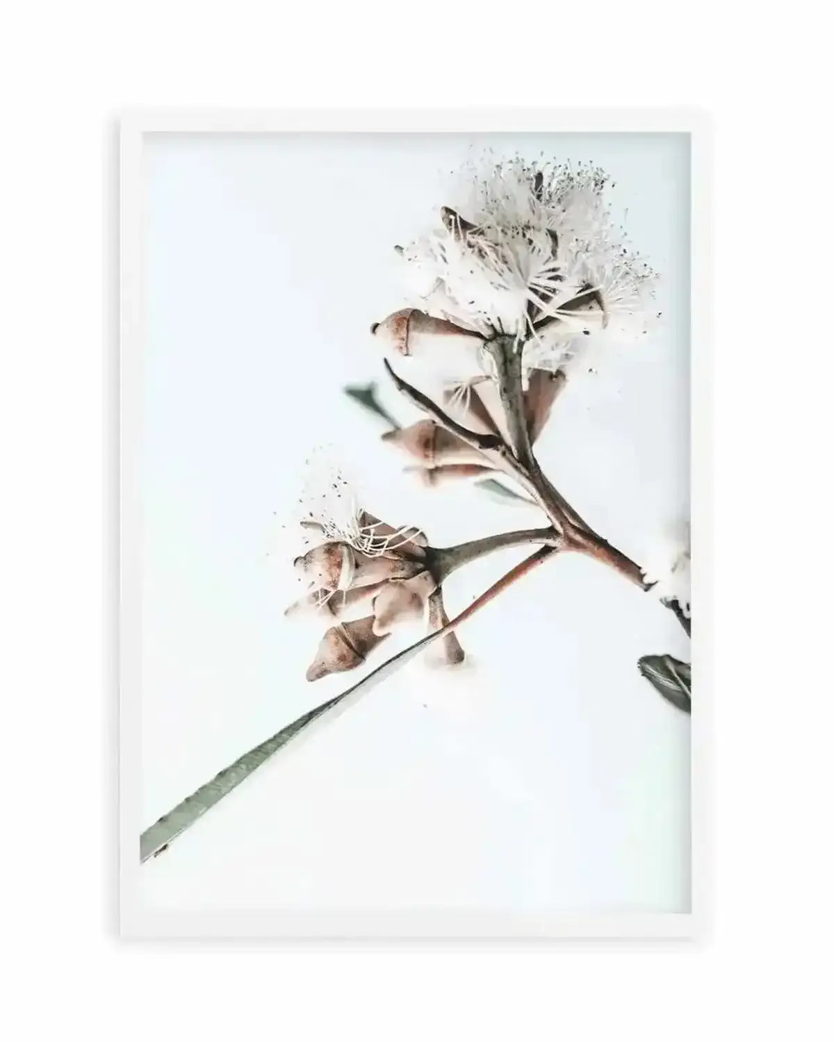 White Eucalyptus I Art Print from Olive et Oriel where you can shop wallpaper and artworks online