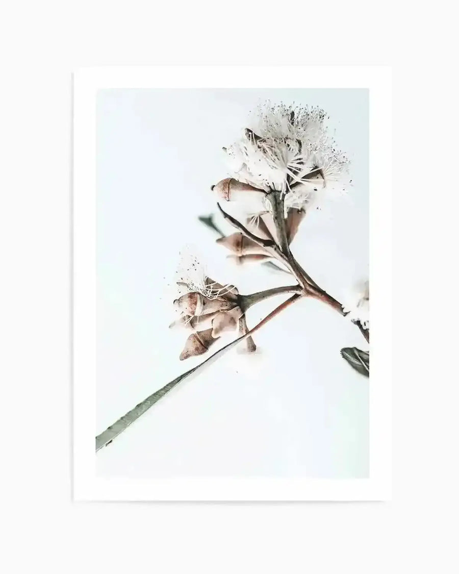 White Eucalyptus I Art Print from Olive et Oriel where you can shop wallpaper and artworks online
