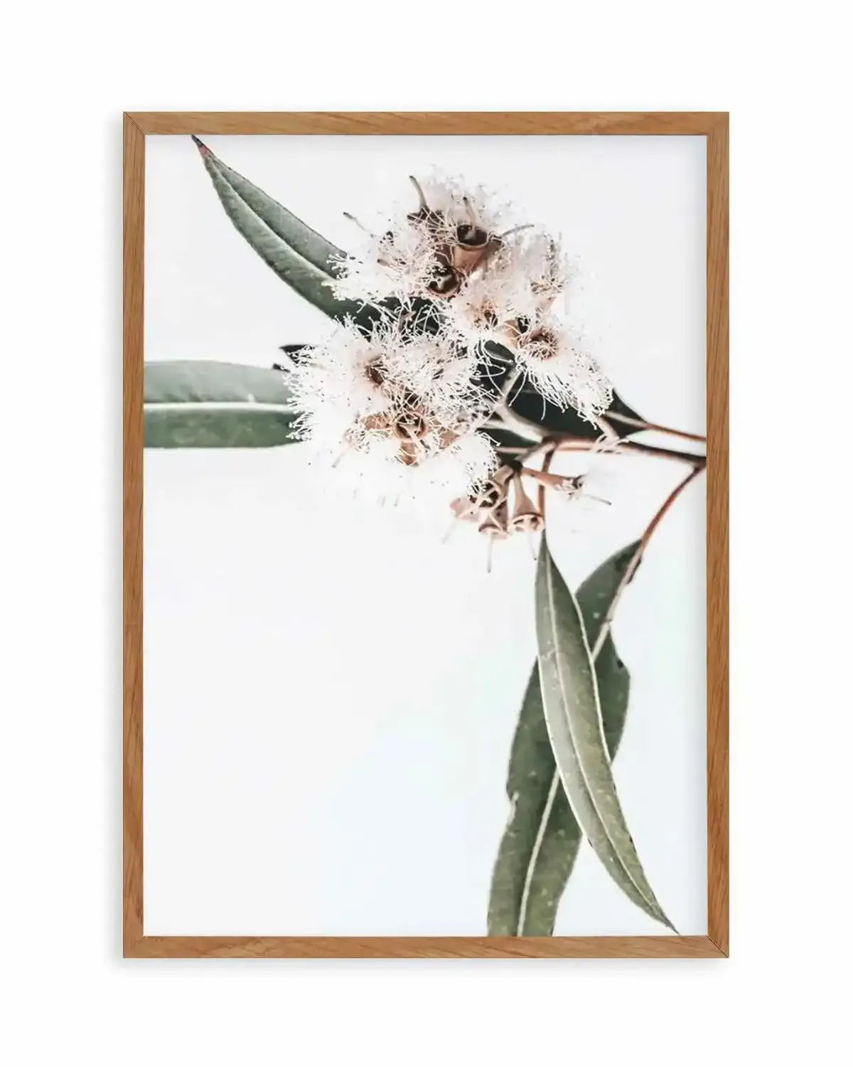 White Eucalyptus II Art Print from Olive et Oriel where you can shop wallpaper and artworks online