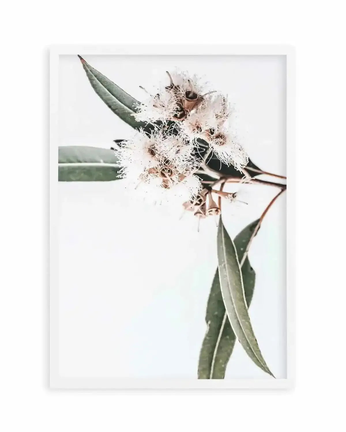 White Eucalyptus II Art Print from Olive et Oriel where you can shop wallpaper and artworks online