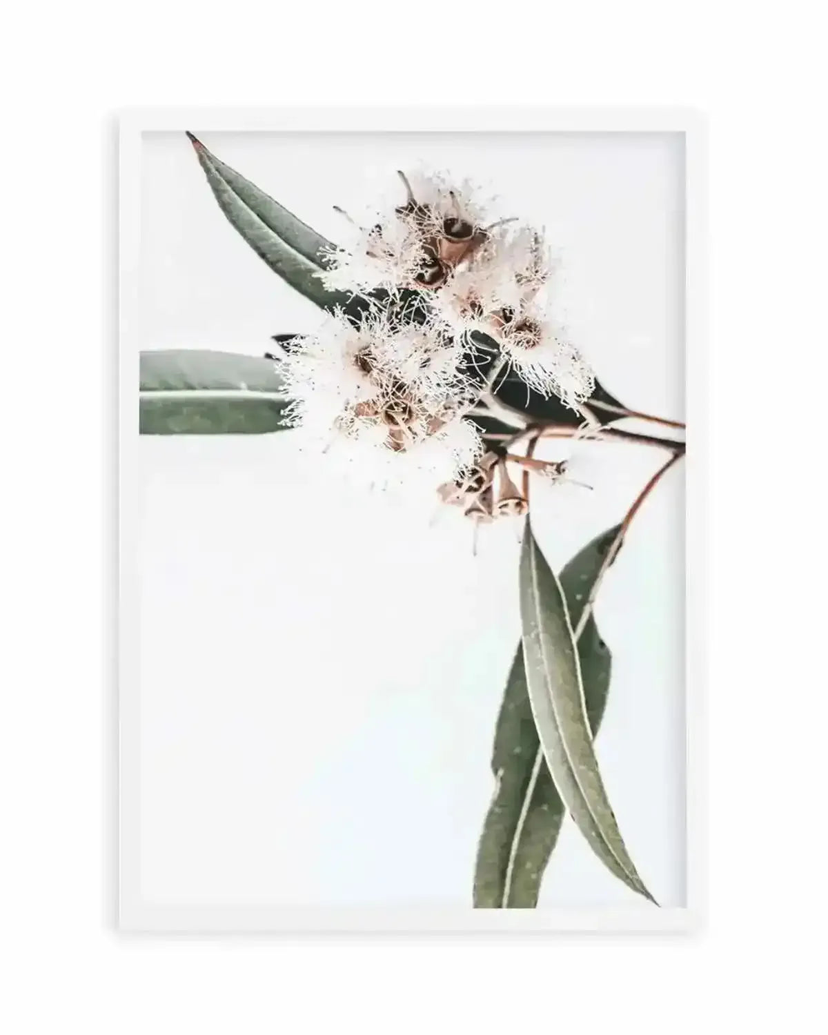 White Eucalyptus II Art Print from Olive et Oriel where you can shop wallpaper and artworks online