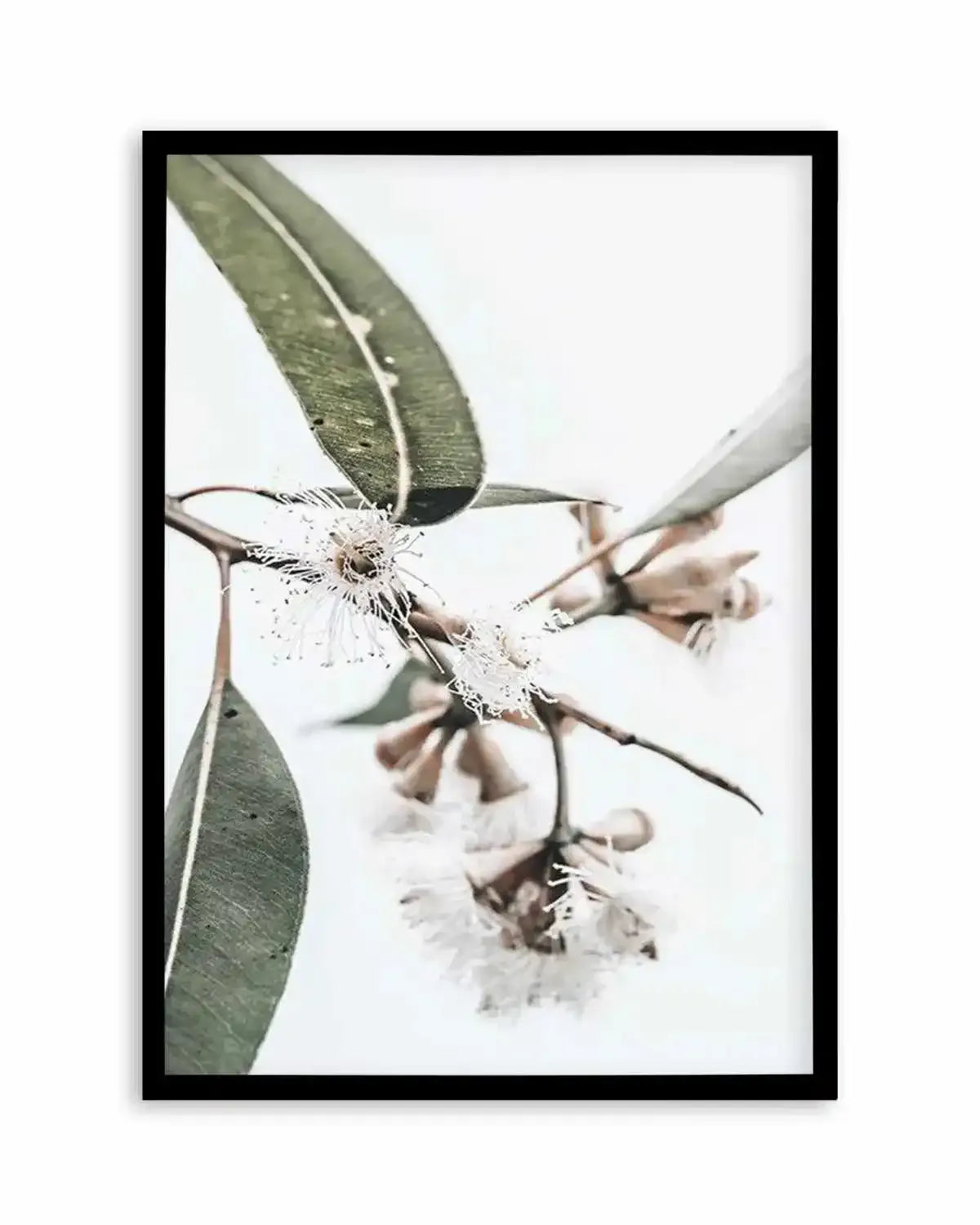 White Eucalyptus III Art Print from Olive et Oriel where you can shop wallpaper and artworks online