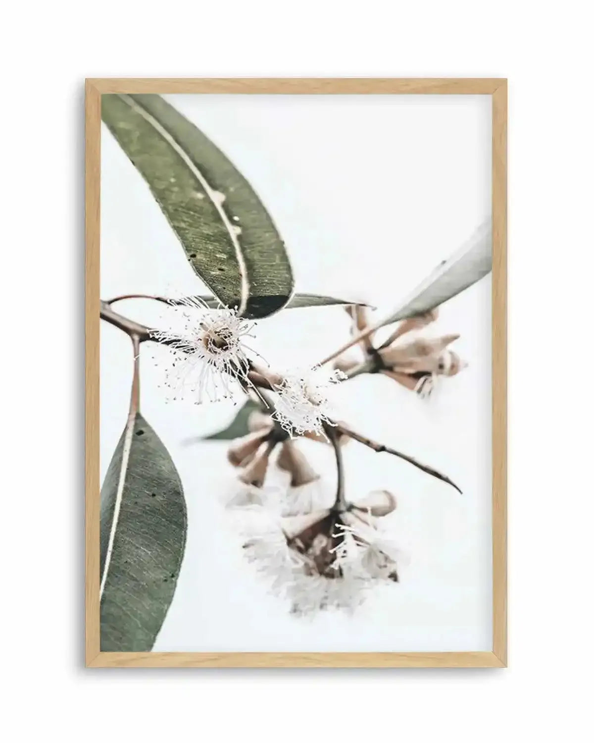 White Eucalyptus III Art Print from Olive et Oriel where you can shop wallpaper and artworks online