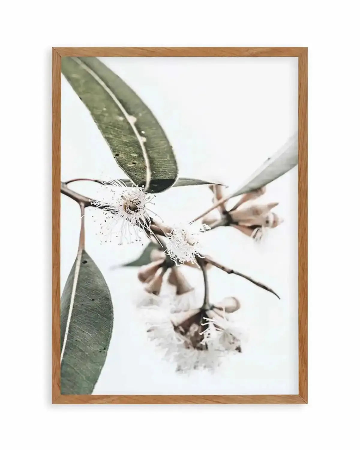 White Eucalyptus III Art Print from Olive et Oriel where you can shop wallpaper and artworks online
