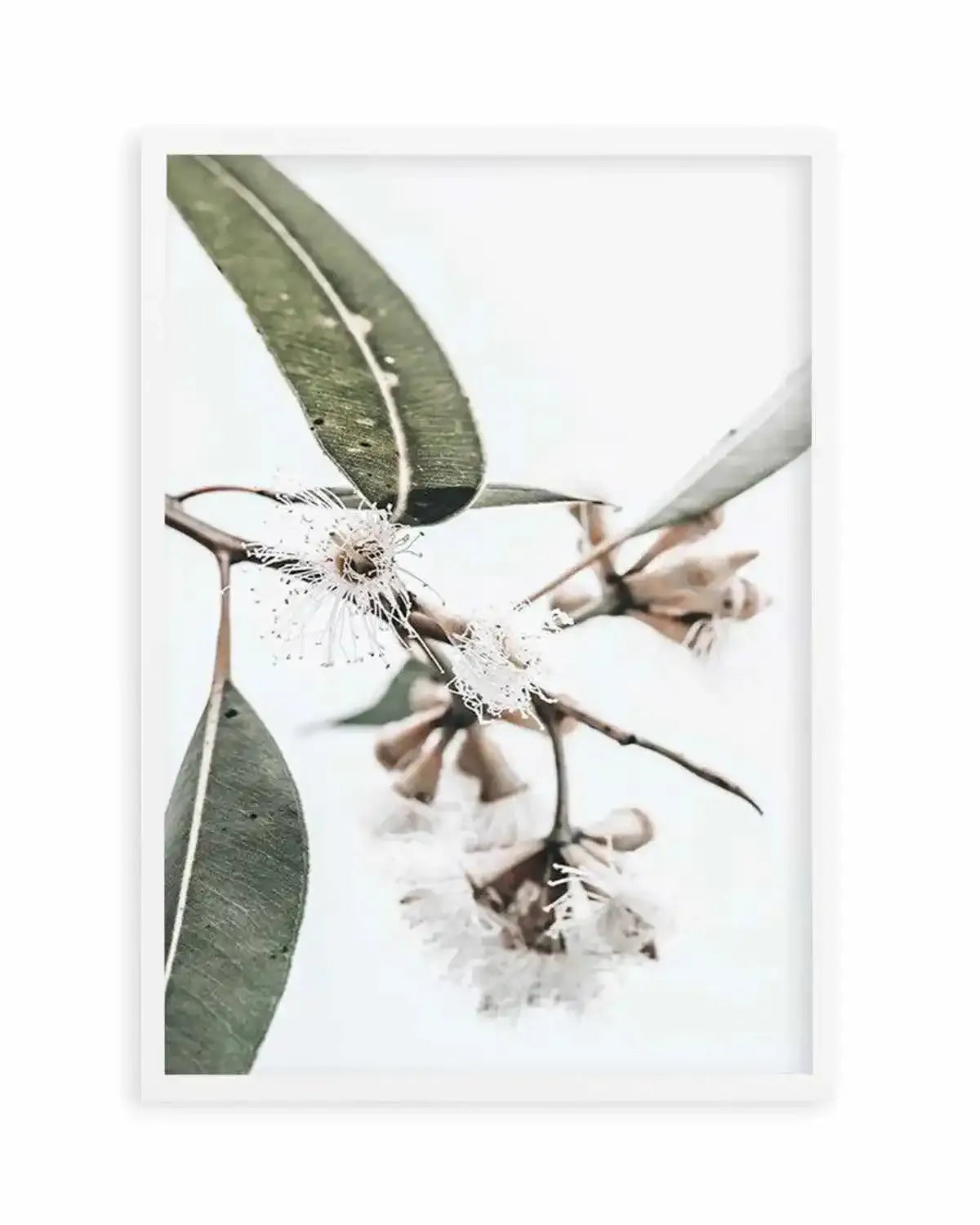 White Eucalyptus III Art Print from Olive et Oriel where you can shop wallpaper and artworks online