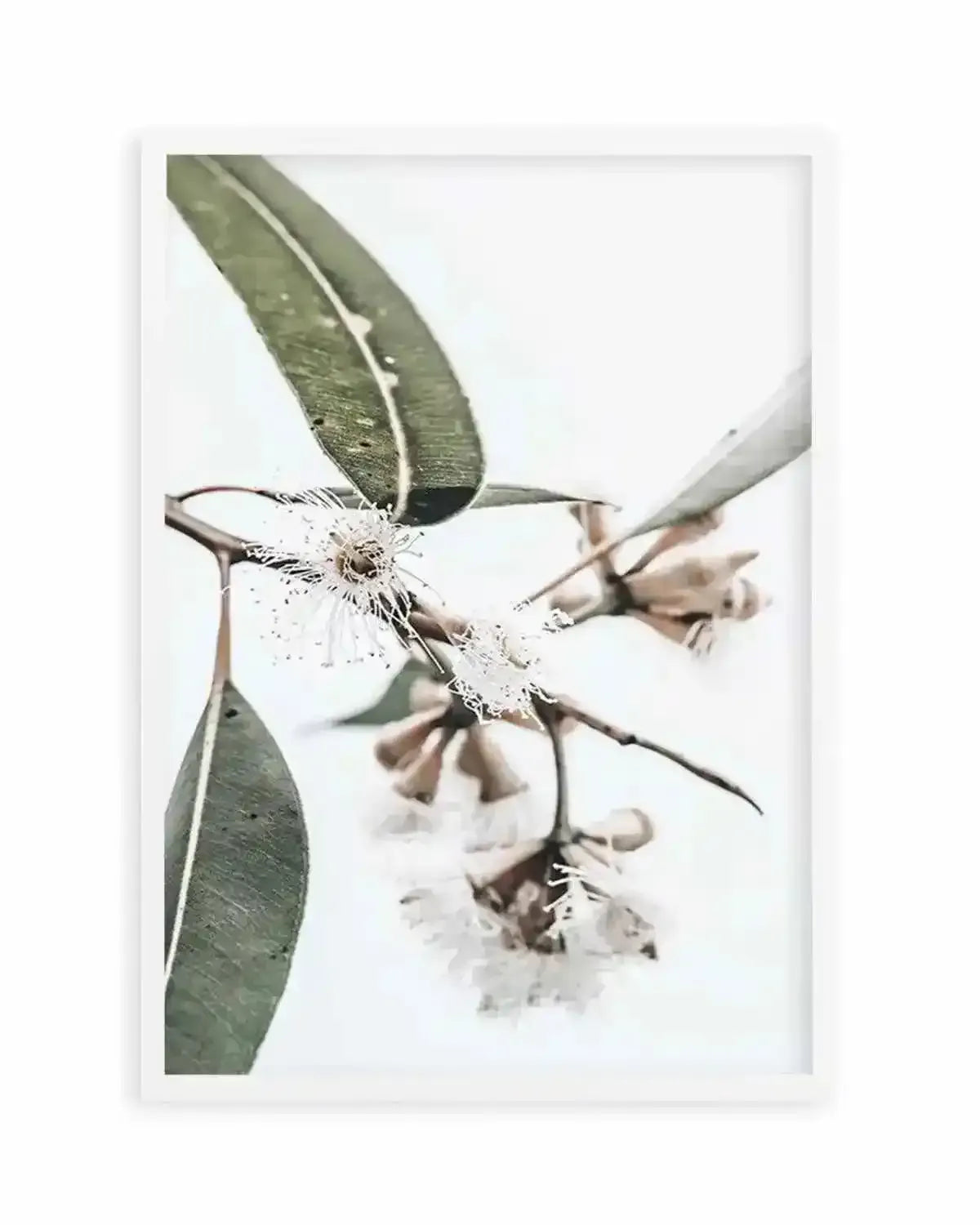 White Eucalyptus III Art Print from Olive et Oriel where you can shop wallpaper and artworks online