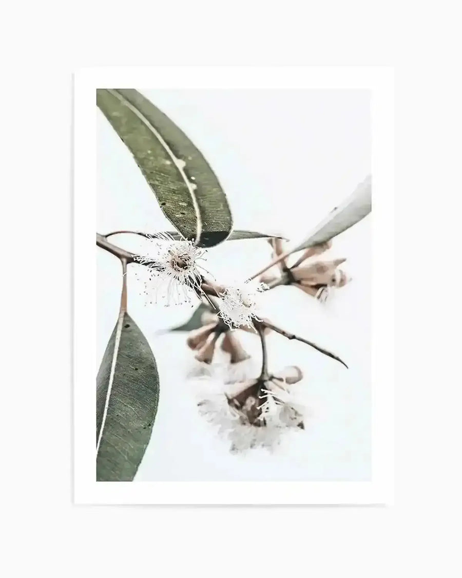 White Eucalyptus III Art Print from Olive et Oriel where you can shop wallpaper and artworks online