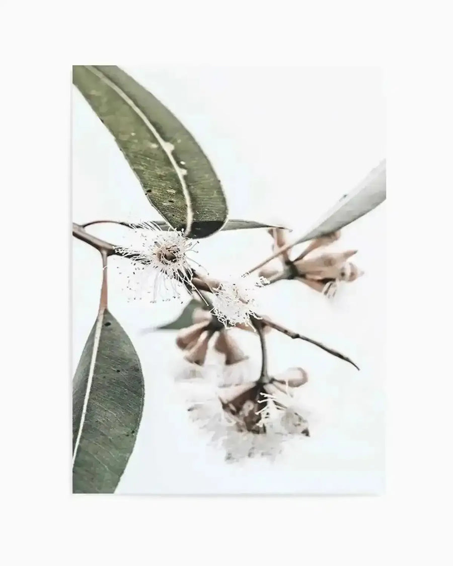 White Eucalyptus III Art Print from Olive et Oriel where you can shop wallpaper and artworks online