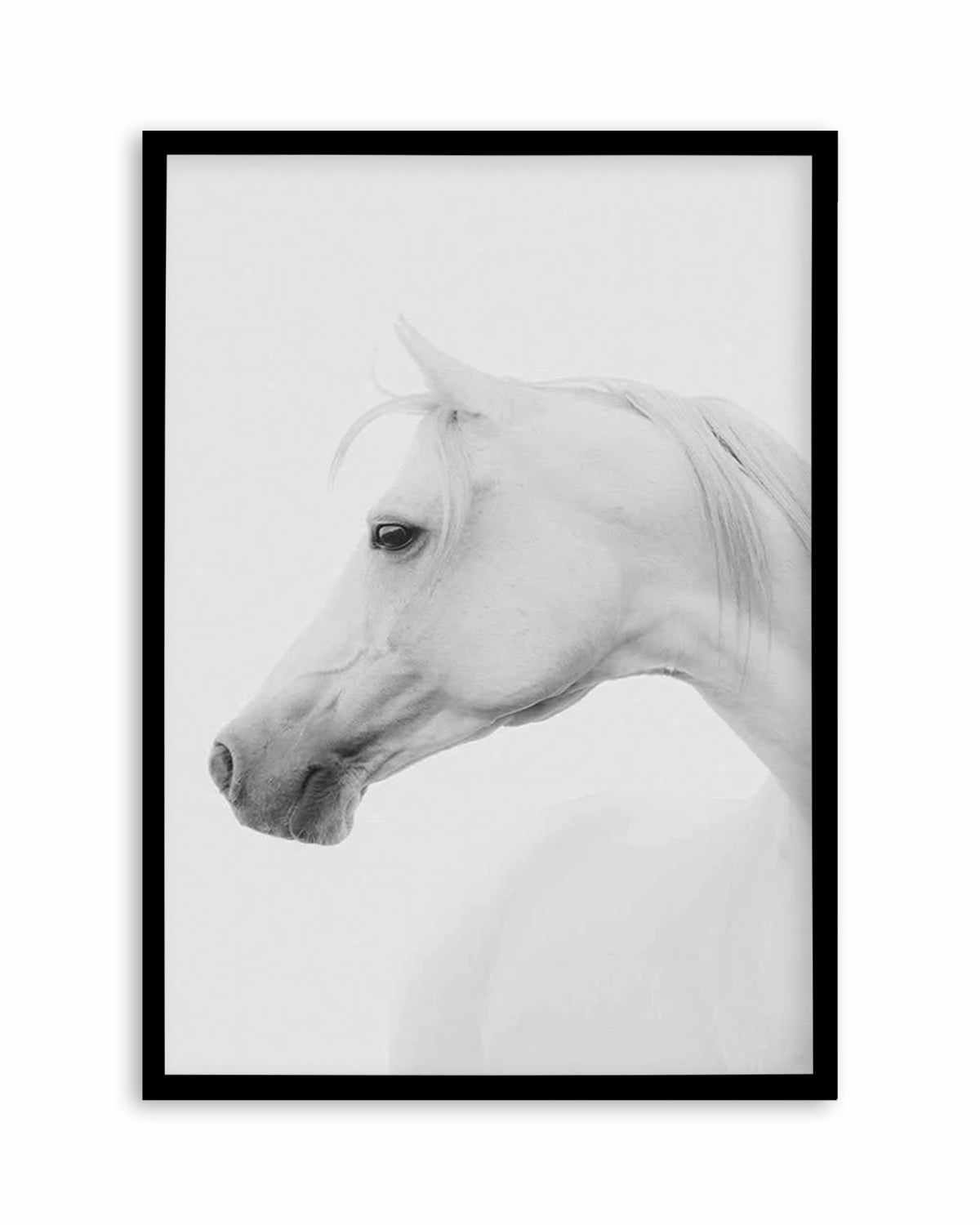 White Horse I Art Print