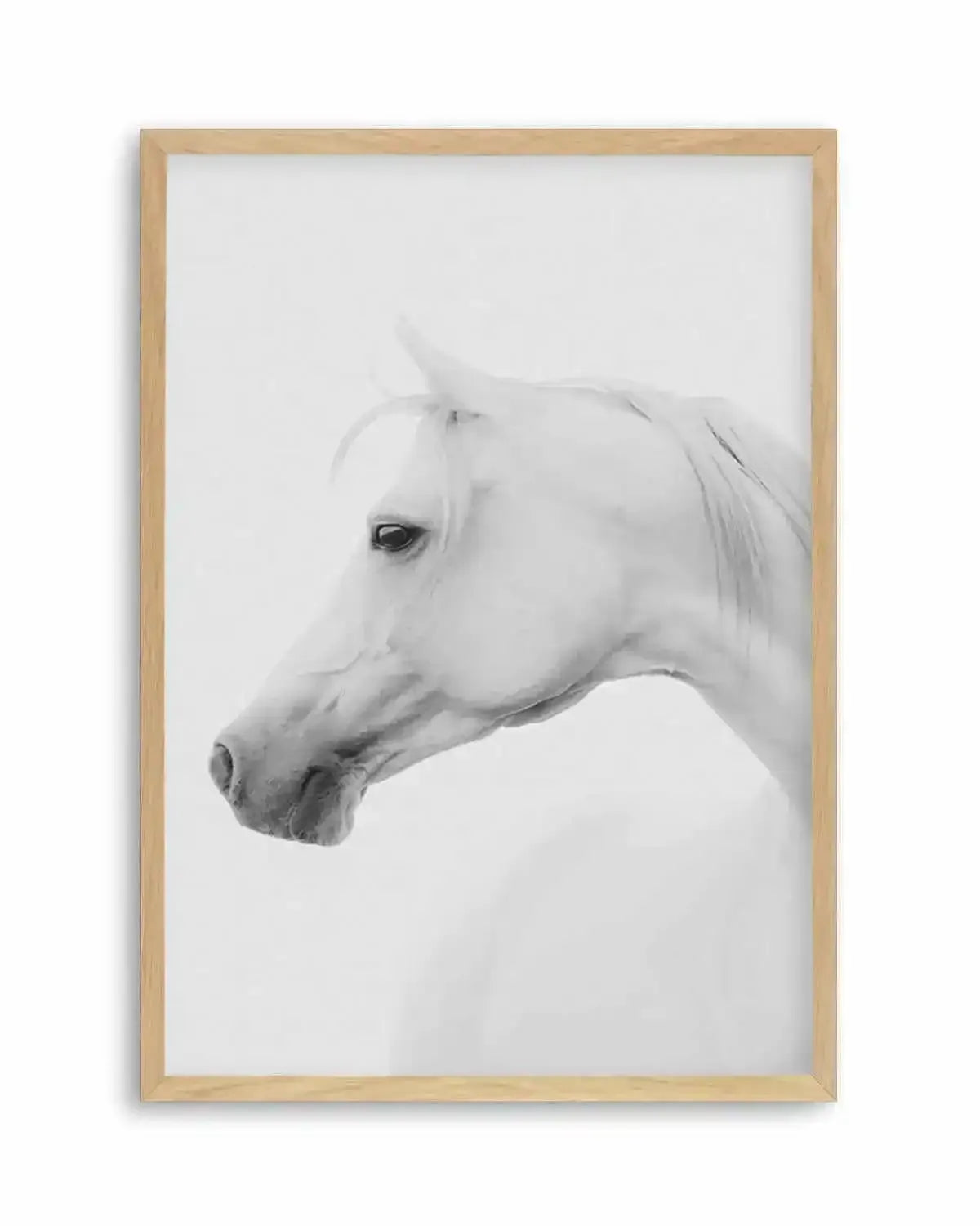White Horse I Art Print from Olive et Oriel where you can shop wallpaper and artworks online