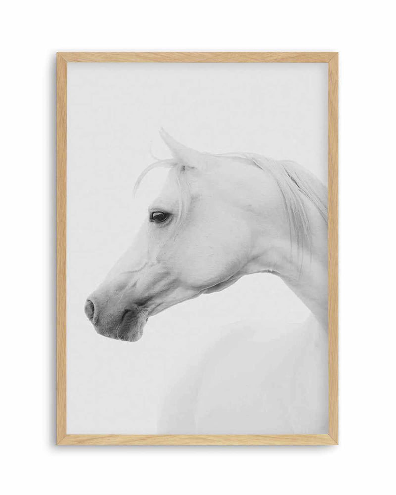 White Horse I Art Print