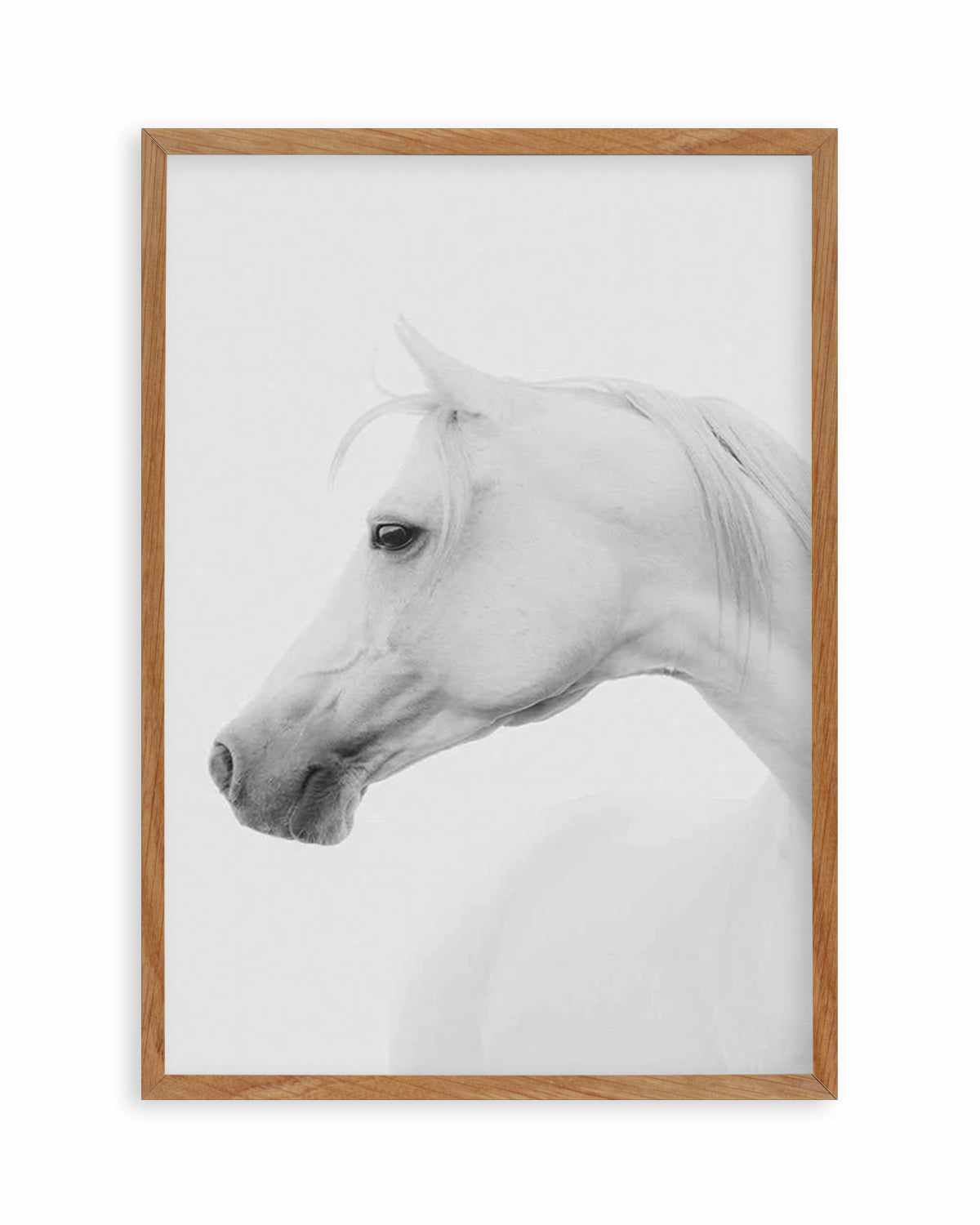 White Horse I Art Print