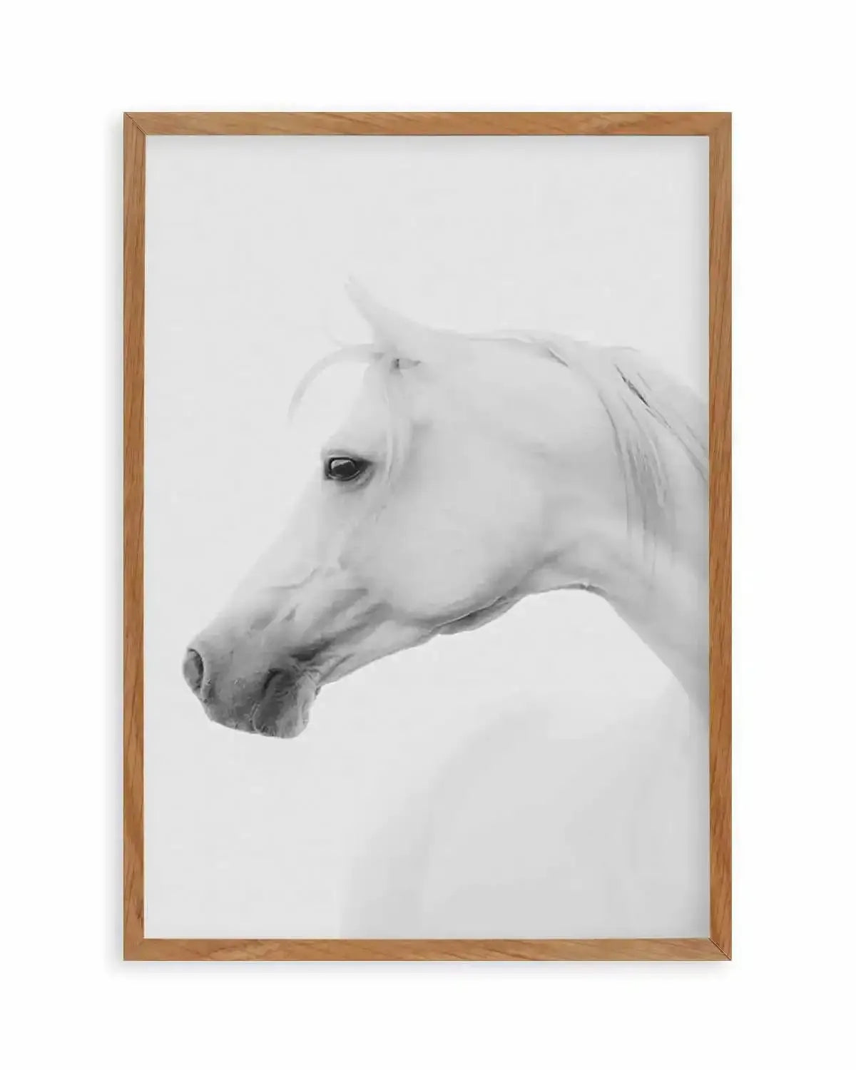 White Horse I Art Print from Olive et Oriel where you can shop wallpaper and artworks online