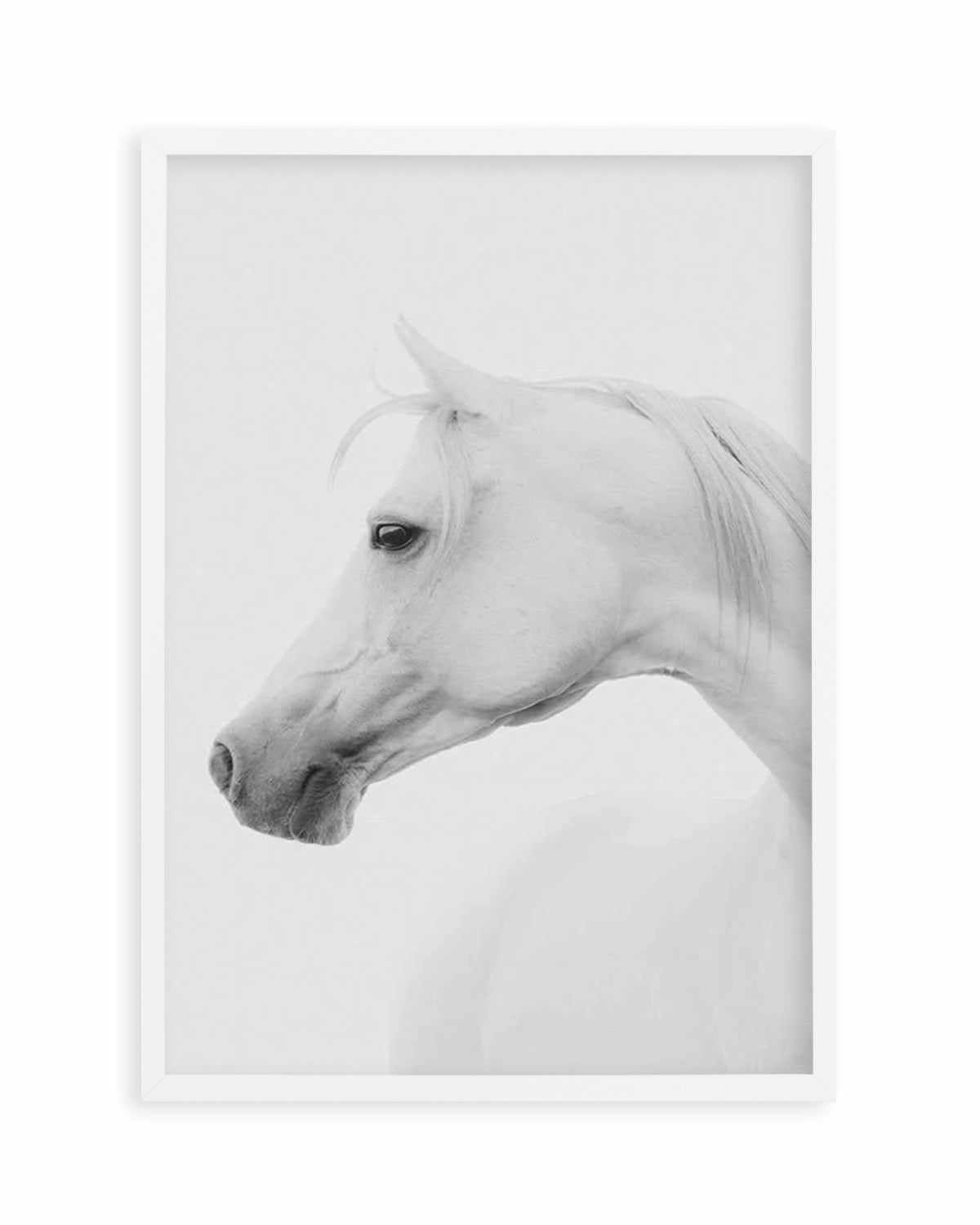 White Horse I Art Print