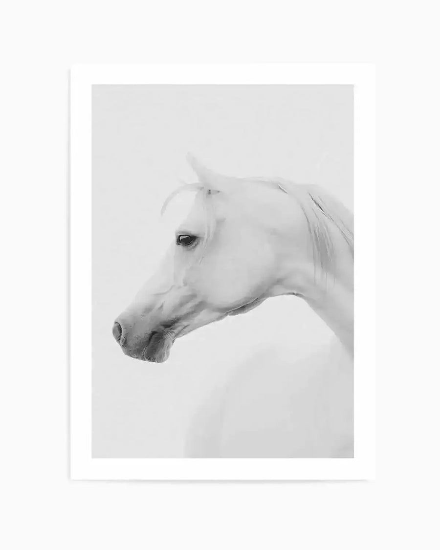 Framed black and white photograph of a white horse's head in profile against a plain white background. The horse has a short mane, dark eye, and a gentle expression, with fine details of its fur and muscle visible.