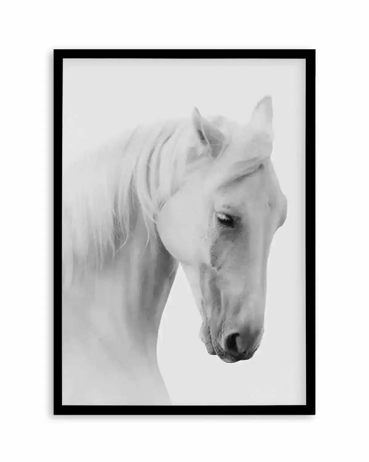 White Horse II Art Print from Olive et Oriel where you can shop wallpaper and artworks online