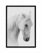 White Horse II Art Print
