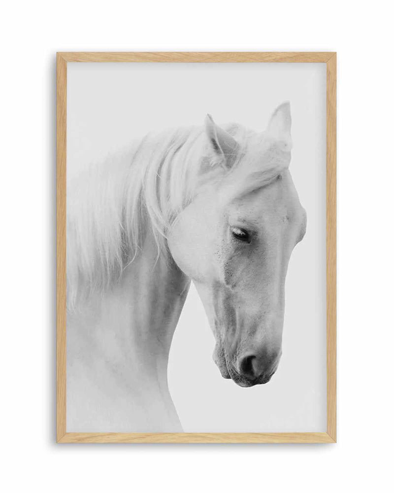 White Horse II Art Print