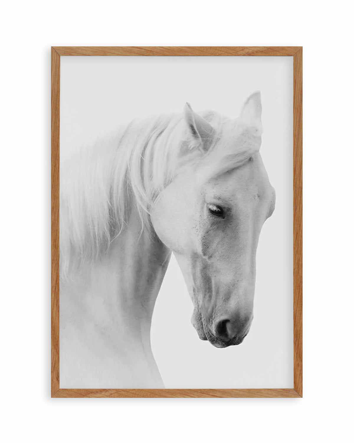 White Horse II Art Print