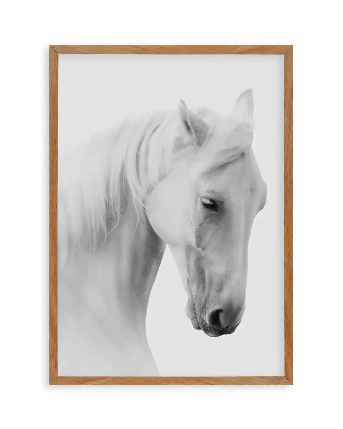 White Horse II Art Print from Olive et Oriel where you can shop wallpaper and artworks online
