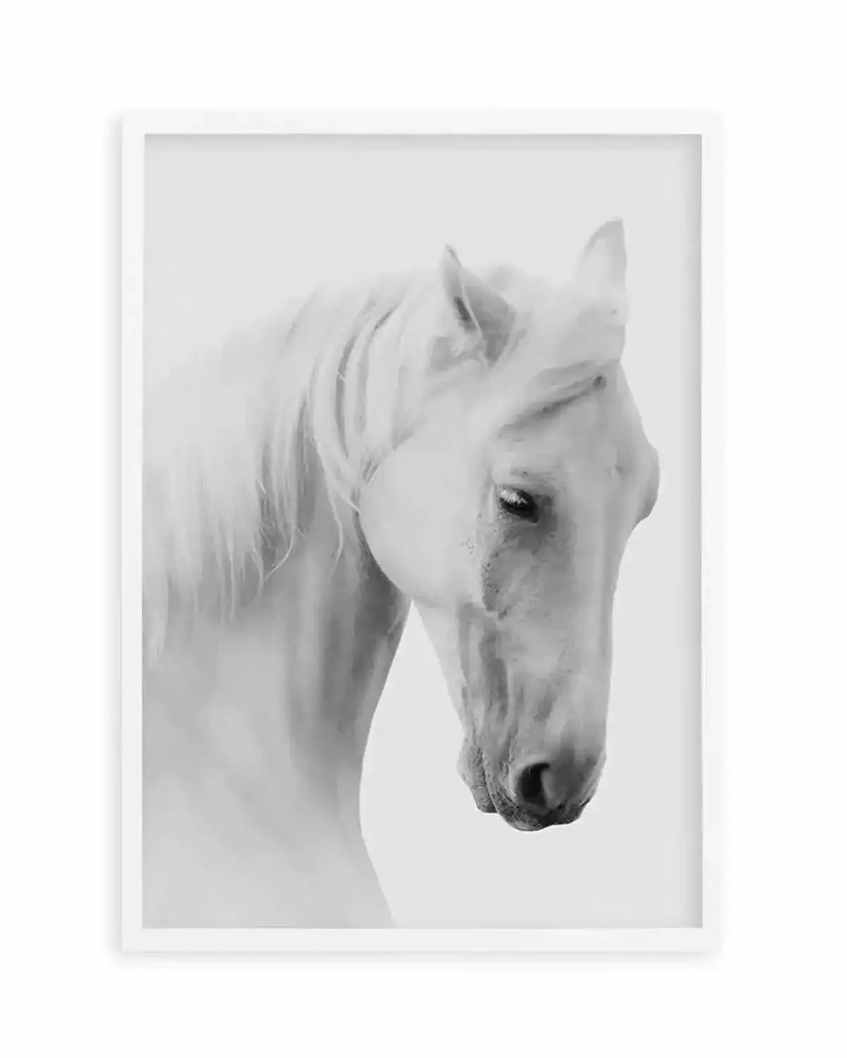 White Horse II Art Print from Olive et Oriel where you can shop wallpaper and artworks online