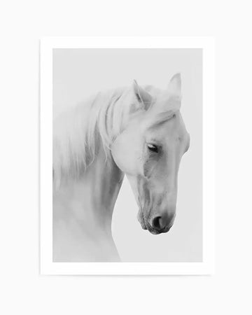 Framed black and white photograph of a white horse with its head bowed. The horse's mane is long and flowing, and its eyes are partially closed, giving it a serene and contemplative expression. The background is a soft, diffused white, emphasizing the horse's form and texture.