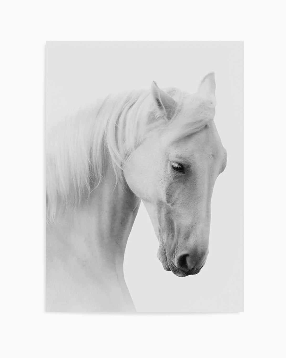 White Horse II Art Print