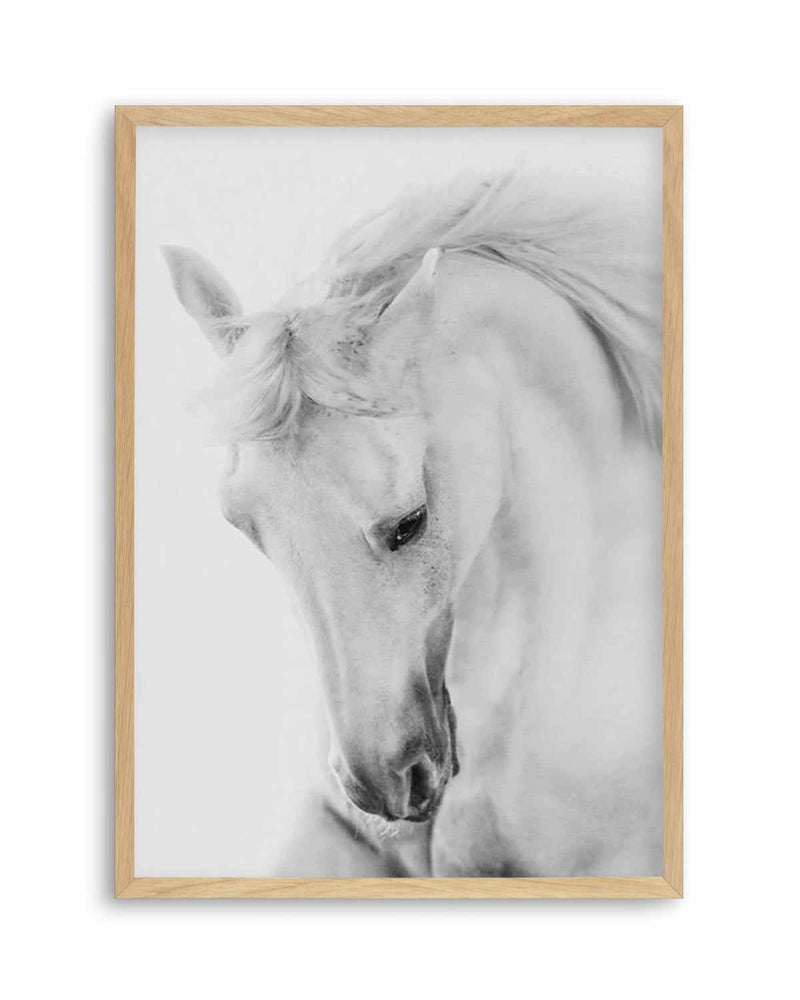 White Horse III Art Print