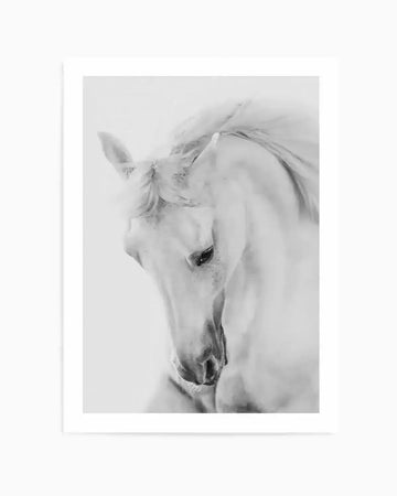 Black and white photograph of a white horse with its head bowed, printed on fine art paper. The horse's mane flows elegantly, and its dark eye is visible, creating a serene and contemplative mood.