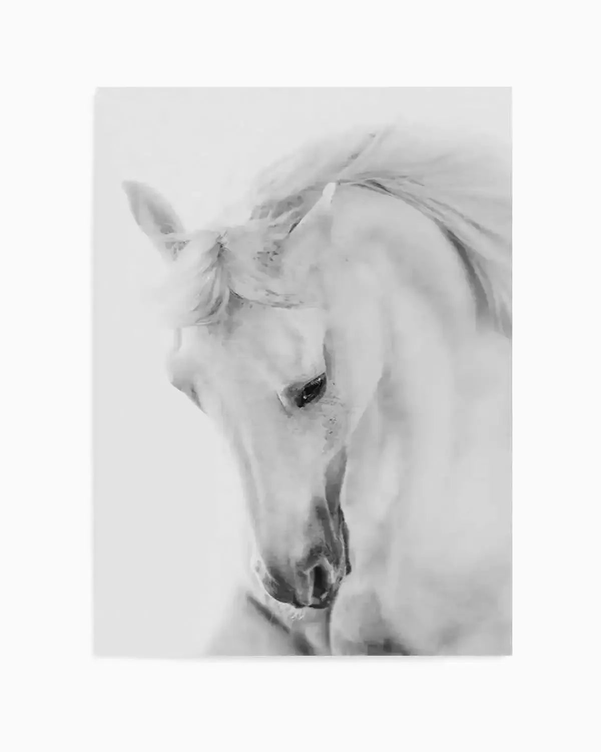 White Horse III Art Print from Olive et Oriel where you can shop wallpaper and artworks online