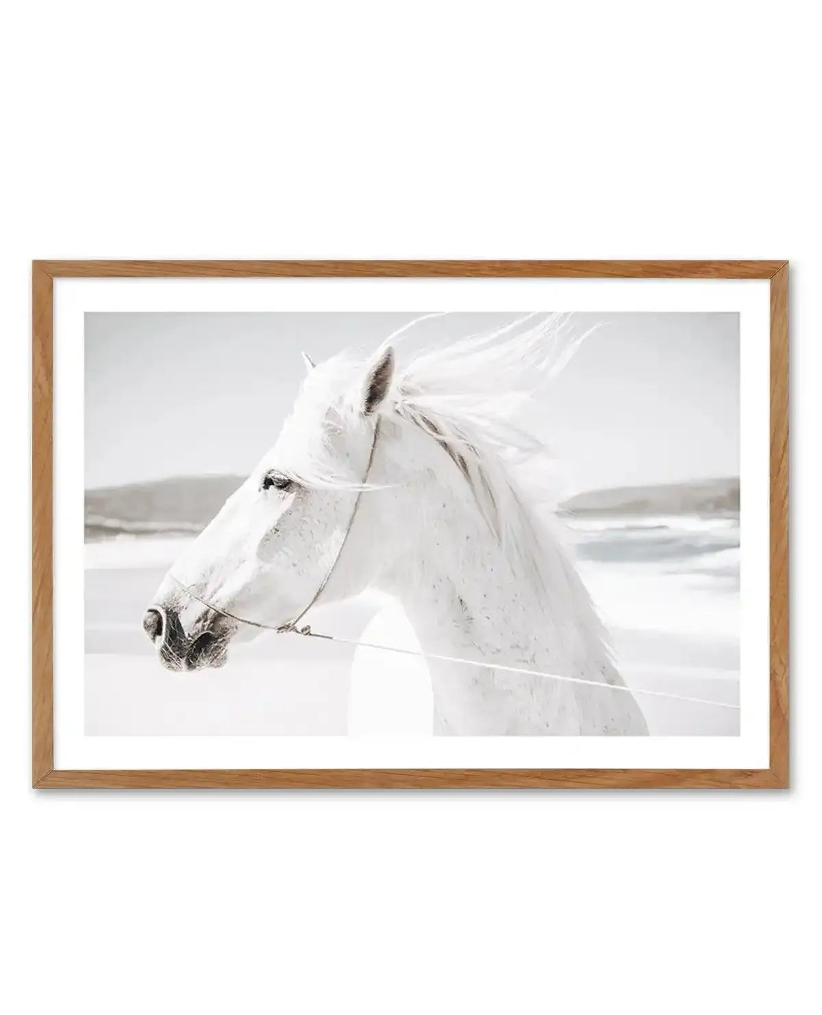 White Horse | Down in Mexico Art Print-PRINT-Olive et Oriel-Olive et Oriel-50x70 cm | 19.6" x 27.5"-Walnut-With White Border-Buy-Australian-Art-Prints-Online-with-Olive-et-Oriel-Your-Artwork-Specialists-Austrailia-Decorate-With-Coastal-Photo-Wall-Art-Prints-From-Our-Beach-House-Artwork-Collection-Fine-Poster-and-Framed-Artwork