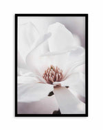 White Magnolia I Art Print