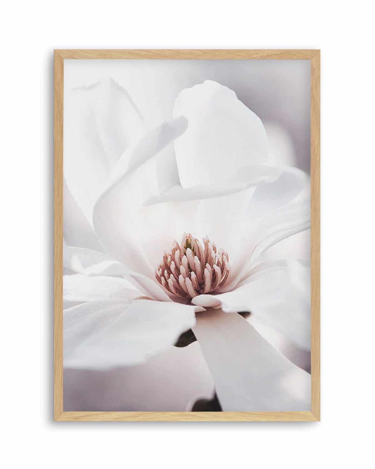 White Magnolia I Art Print