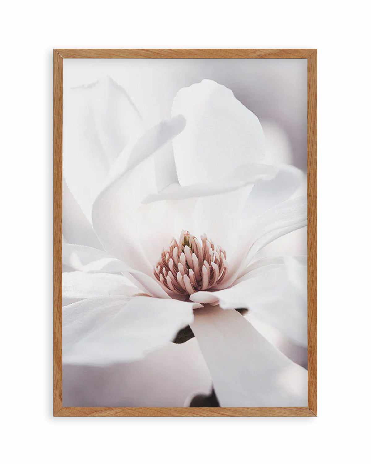 White Magnolia I Art Print