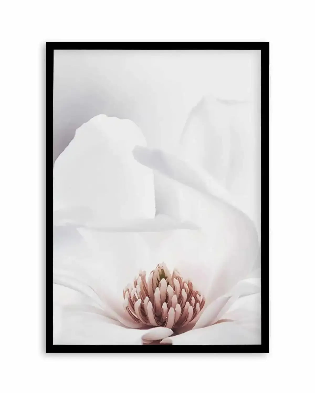 White Magnolia II Art Print from Olive et Oriel where you can shop wallpaper and artworks online