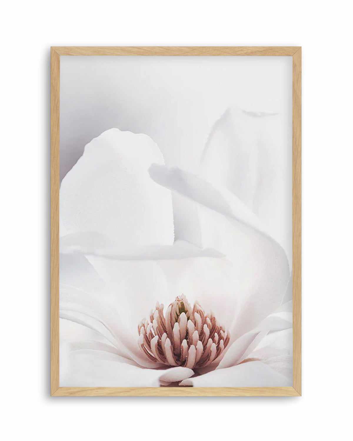 White Magnolia II Art Print