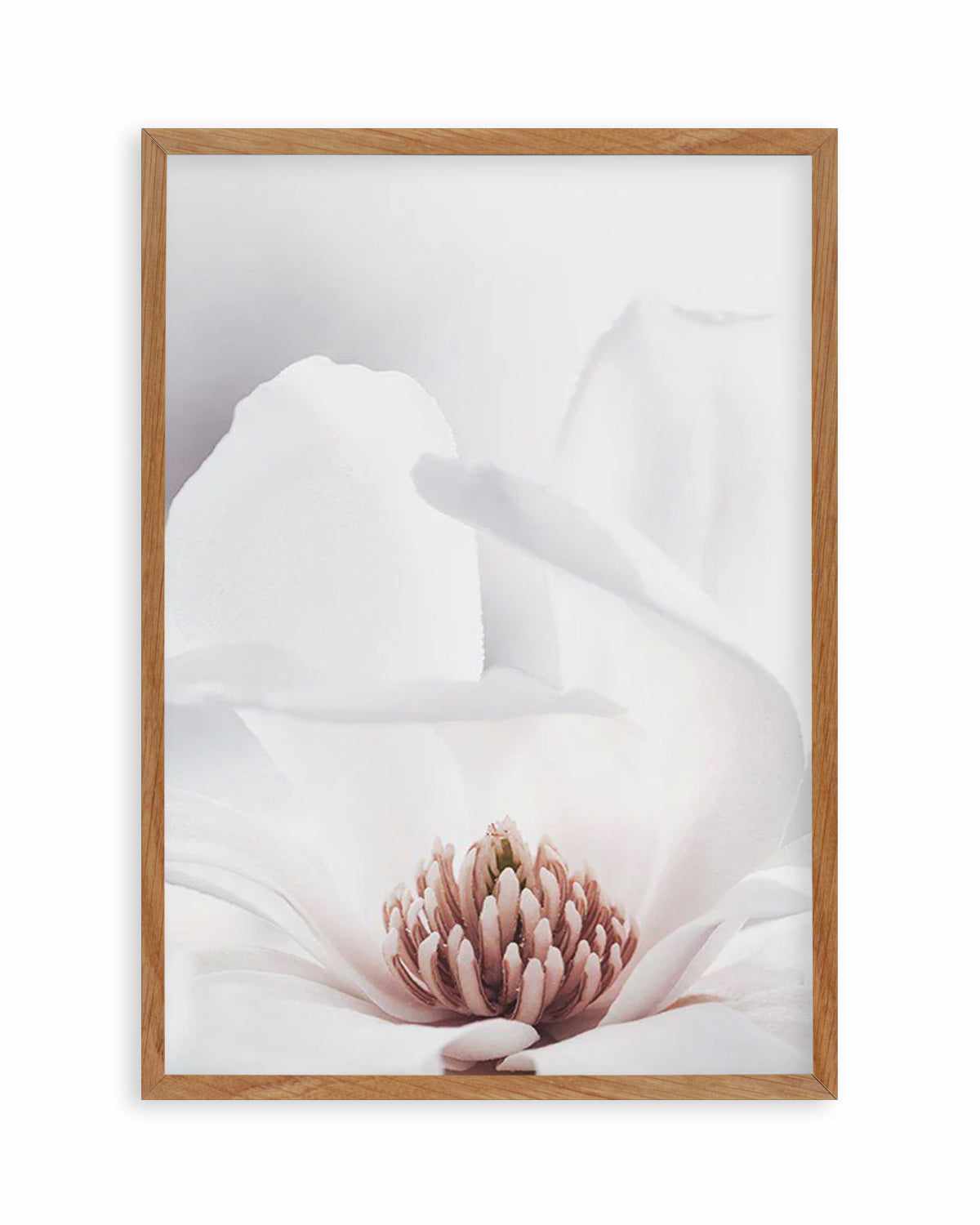 White Magnolia II Art Print