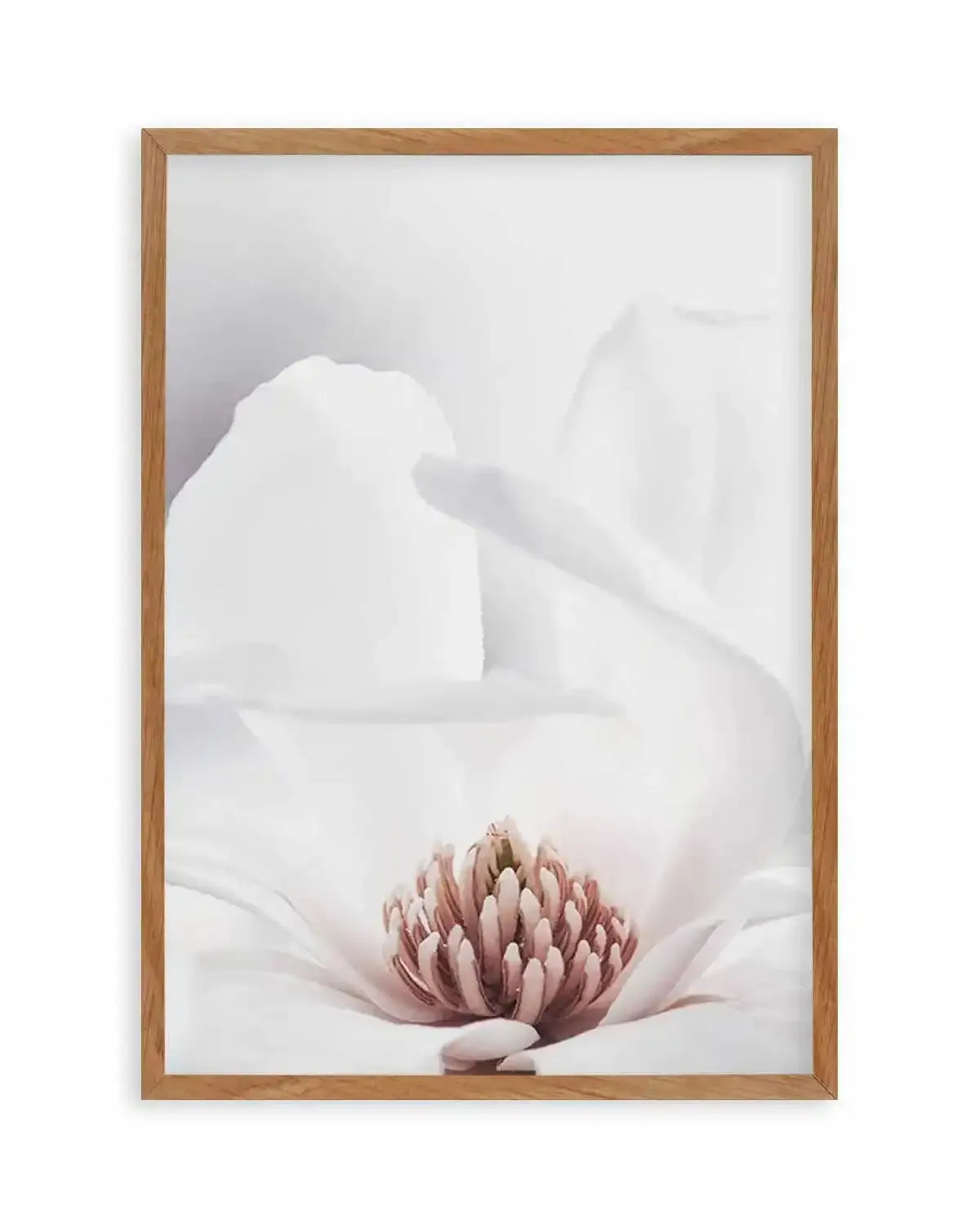 White Magnolia II Art Print from Olive et Oriel where you can shop wallpaper and artworks online