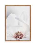 White Magnolia II Art Print
