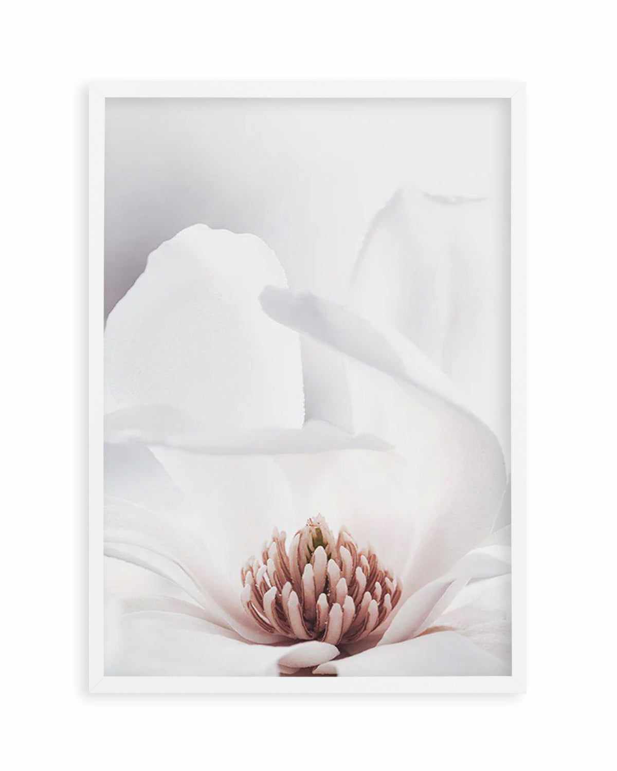 White Magnolia II Art Print