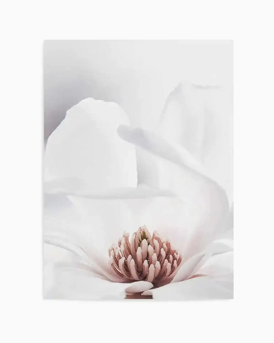 White Magnolia II Art Print from Olive et Oriel where you can shop wallpaper and artworks online