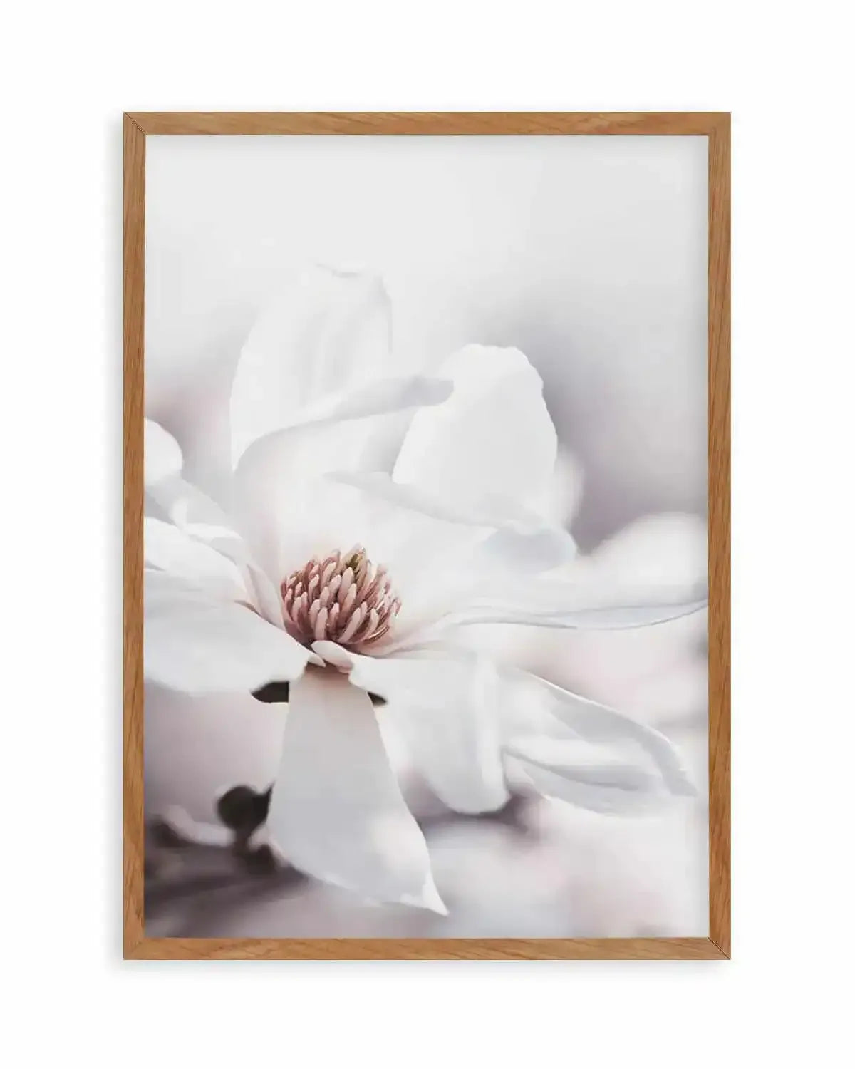 White Magnolia III Art Print from Olive et Oriel where you can shop wallpaper and artworks online