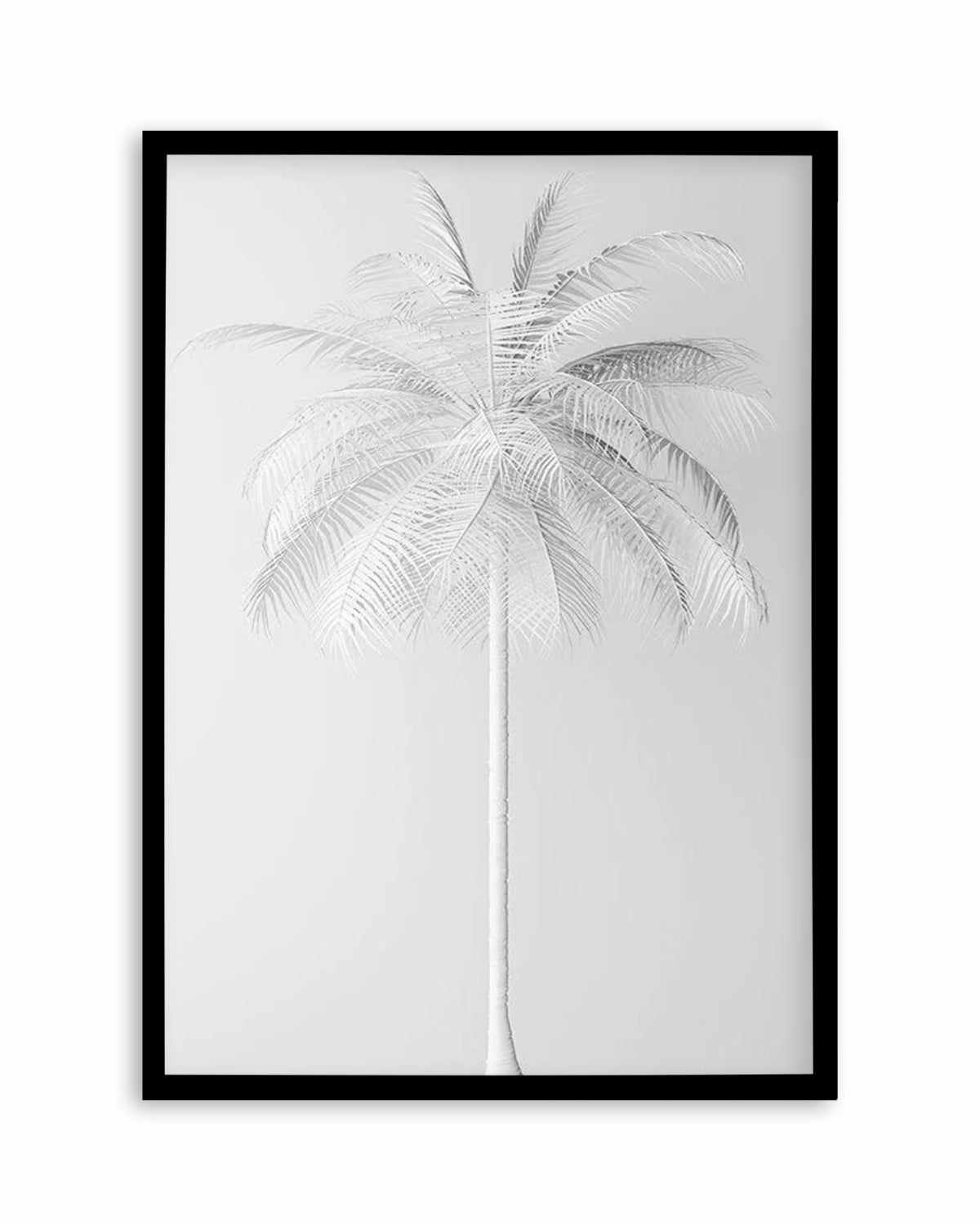 White Palm on Grey   Art Print