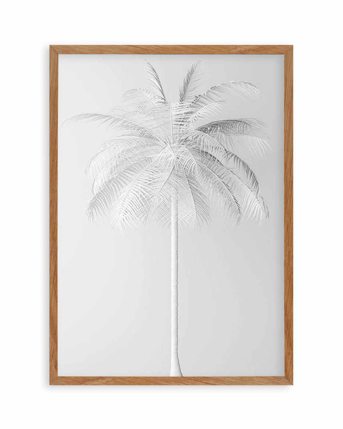 White Palm on Grey   Art Print